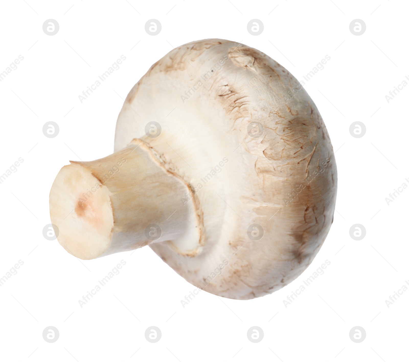 Photo of Fresh champignon mushroom isolated on white. Healthy food