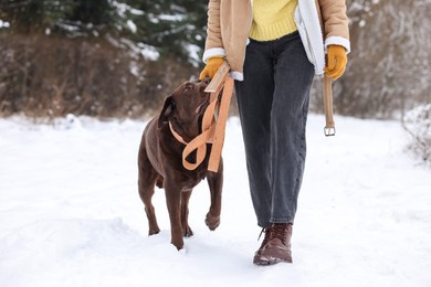 Photo of Woman walking with adorable Labrador Retriever dog in snowy park, closeup