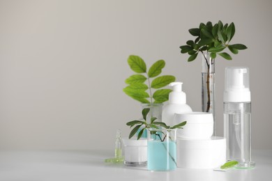 Photo of Many containers and glass tubes with leaves on white table against light grey background, space for text