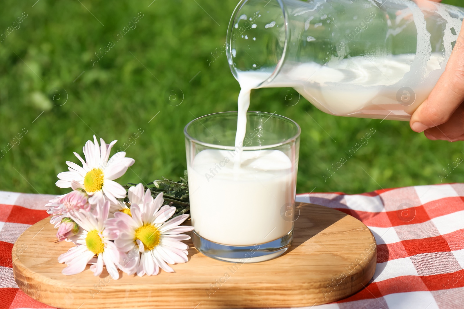 Photo of Woman pouring fresh milk from bottle into glass on checkered blanket outdoors, closeup