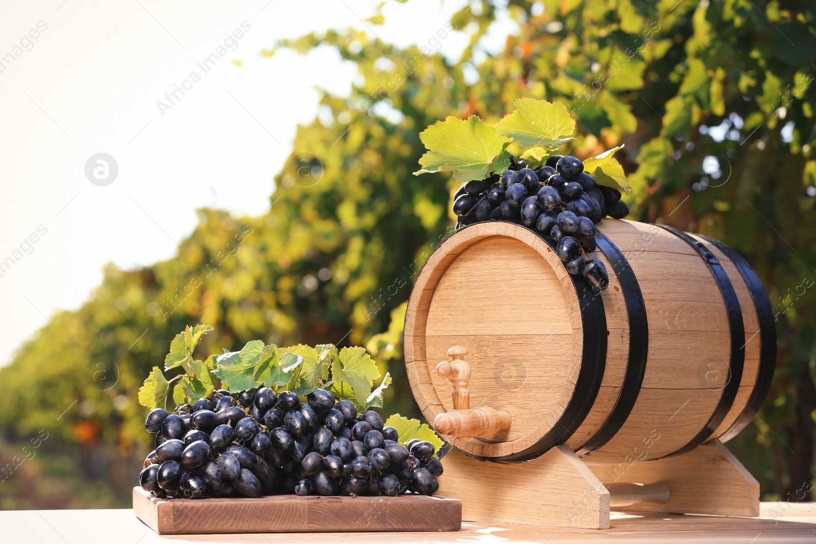 Photo of Composition with wine barrel and ripe grapes on table outdoors