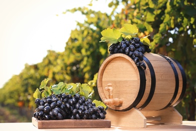 Photo of Composition with wine barrel and ripe grapes on table outdoors