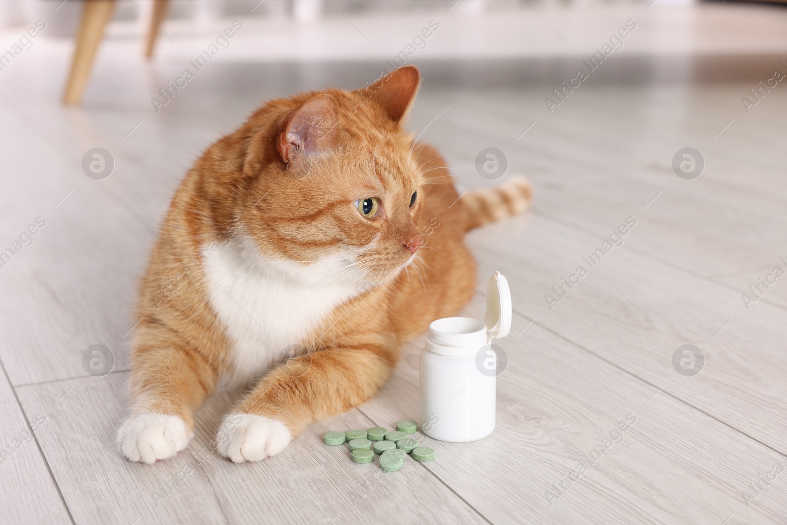 Photo of Cute ginger cat and vitamin pills indoors. Space for text