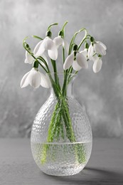 Photo of Vase with beautiful snowdrops on grey table