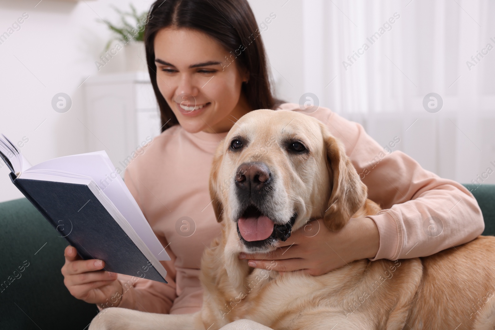Photo of Happy woman reading book while sitting with cute Labrador Retriever on sofa at home