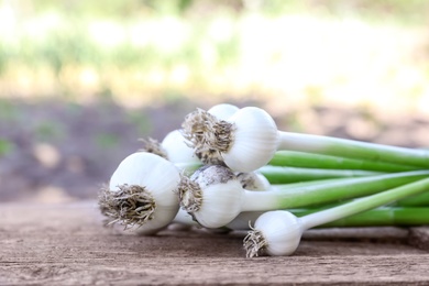 Photo of Fresh ripe garlic bulbs on wooden table