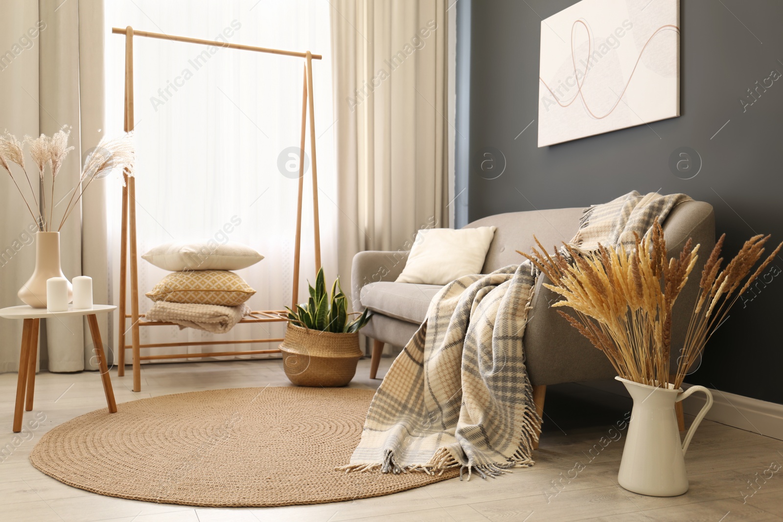 Photo of Vase with dry plants on floor in living room. Interior design