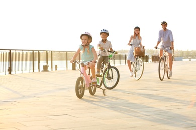 Happy family riding bicycles outdoors on summer day