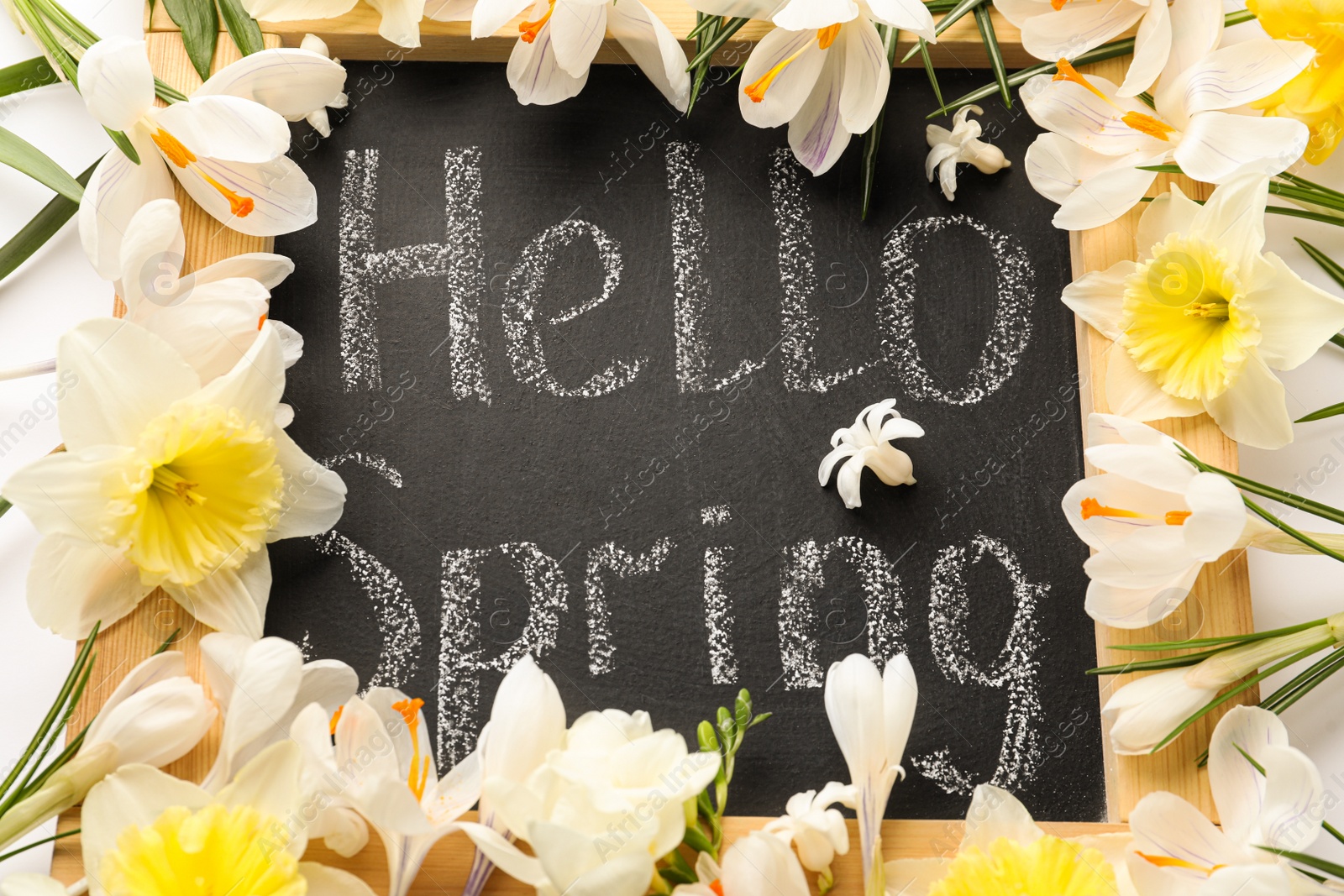Photo of Fresh flowers on blackboard with words HELLO SPRING, closeup