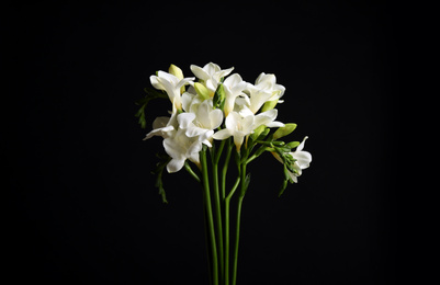 Photo of Beautiful white freesia flowers on black background