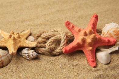 Photo of Beautiful sea stars, shells and ropes on sand, closeup
