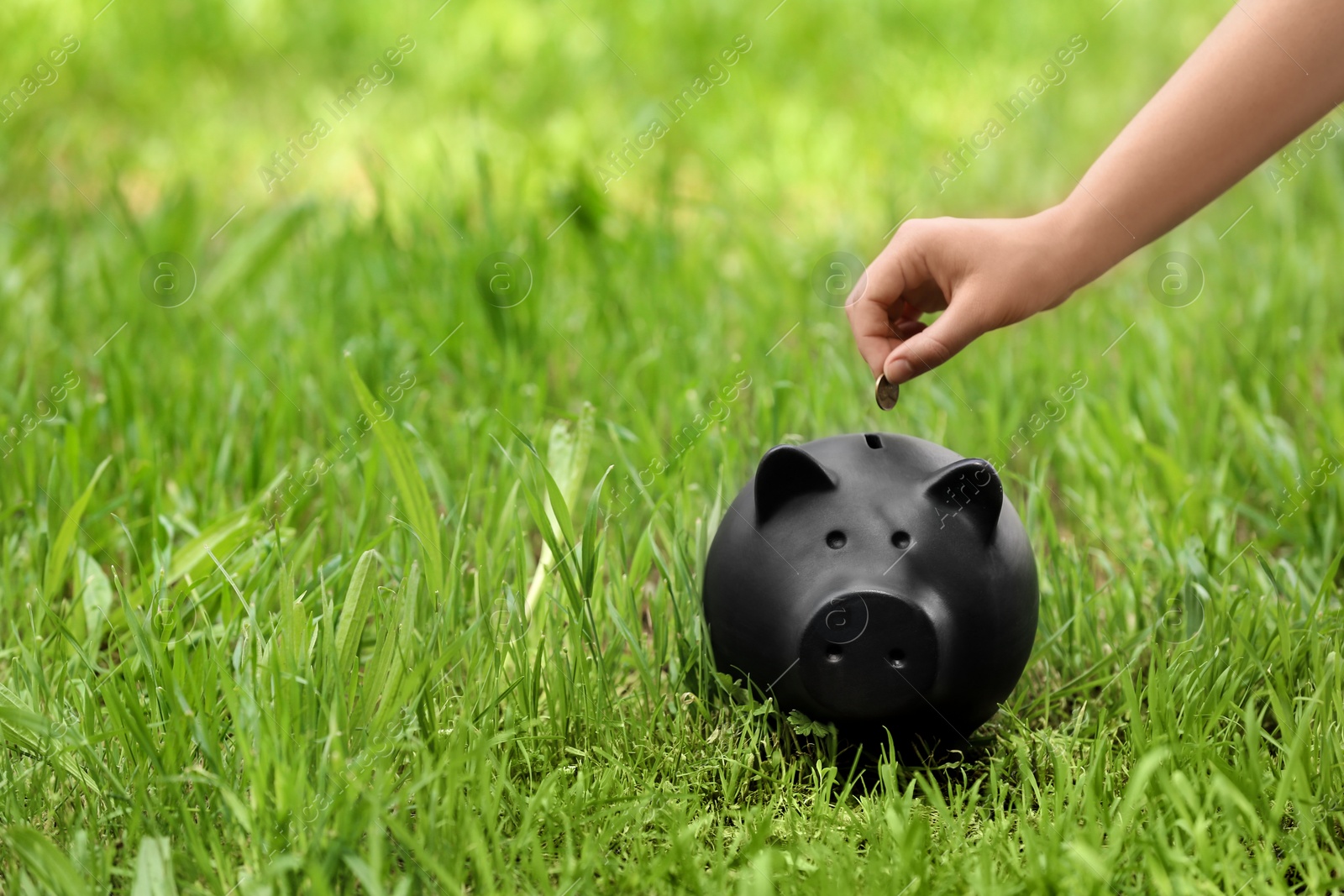 Photo of Young woman putting coin into piggy bank on green grass outdoors, closeup. Space for text