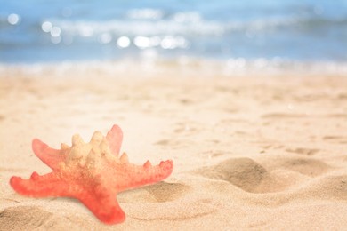 Starfish on sandy beach near sea, space for text