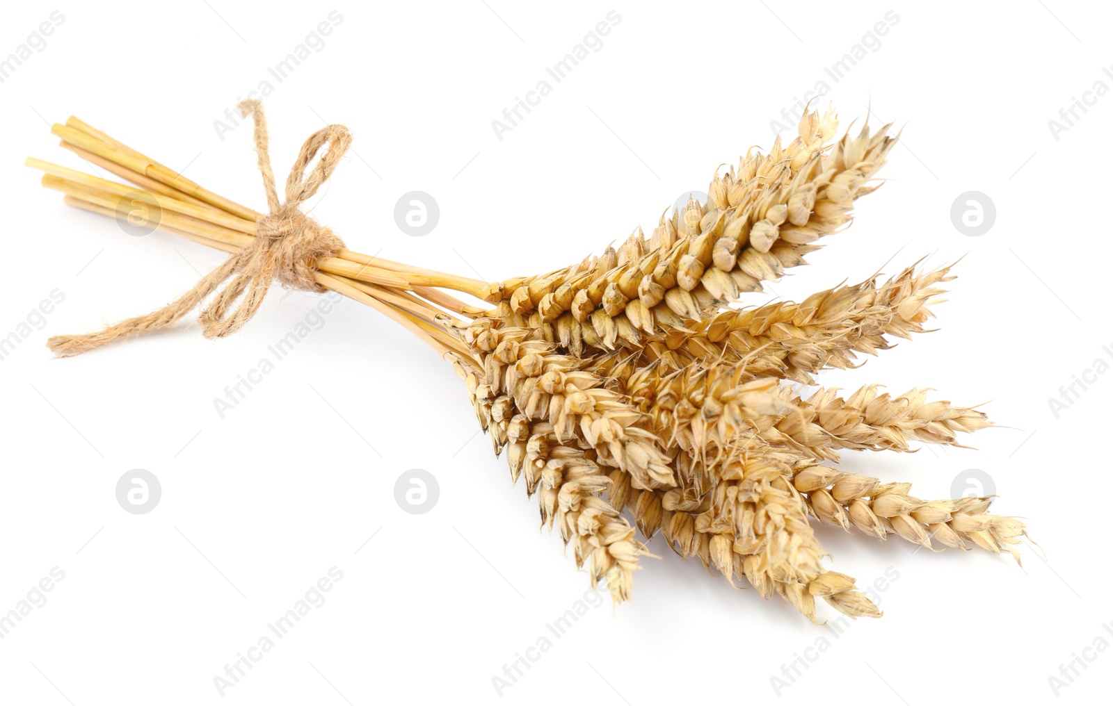 Photo of Bunch of dried wheat isolated on white