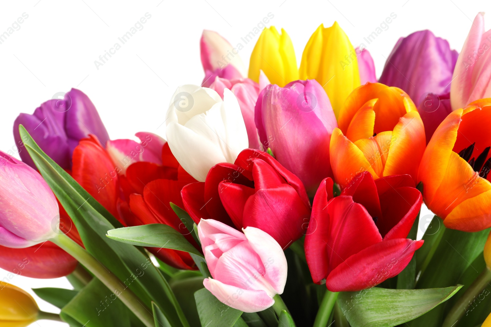 Photo of Beautiful bouquet of bright tulip flowers on light background, closeup