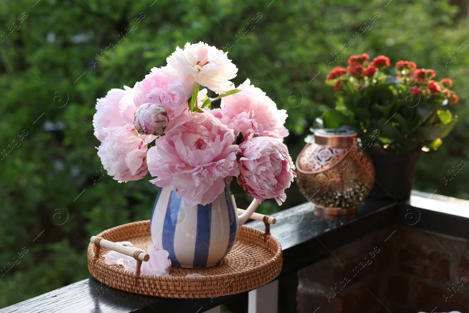 Photo of Balcony garden. Beautiful flowers on railings outdoors