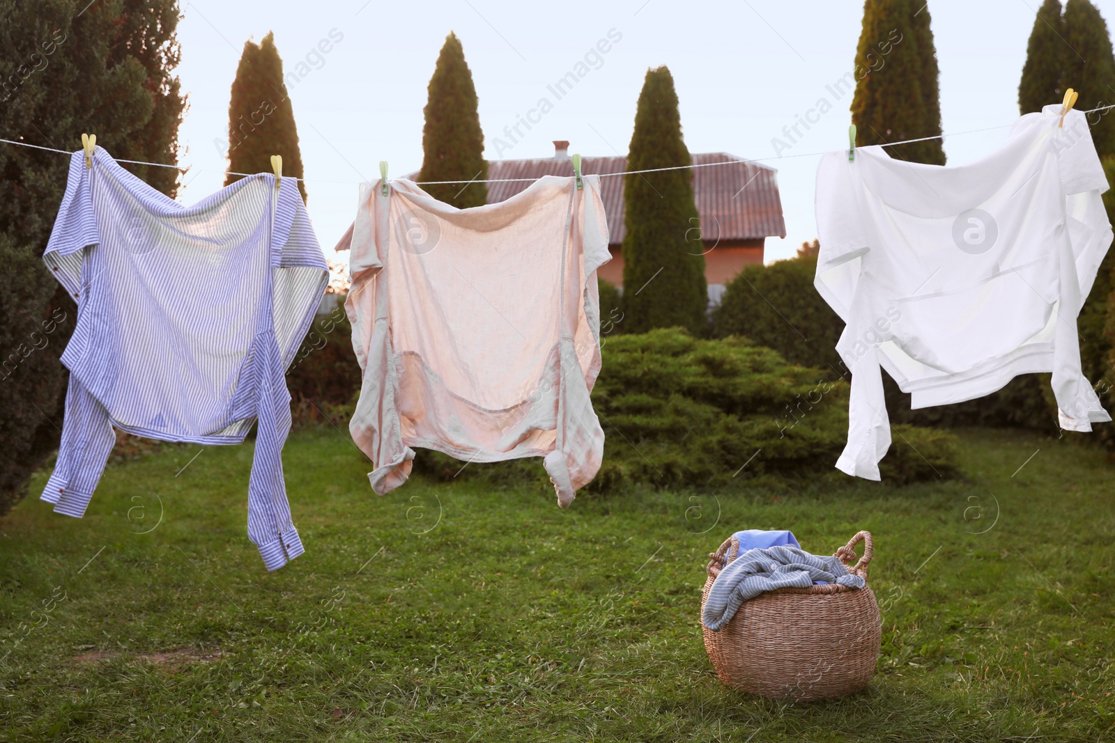 Photo of Clean clothes drying near wicker bag in backyard