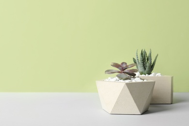 Beautiful succulent plants in stylish flowerpots on table against green background, space for text. Home decor