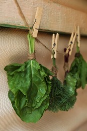 Photo of Bunchesdifferent herbs on rope indoors
