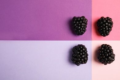 Flat lay composition with ripe blackberries on color background