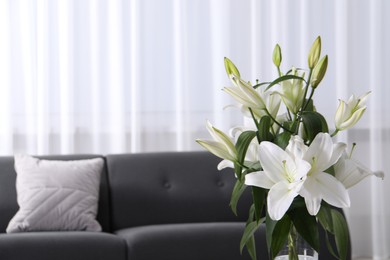 Photo of Beautiful lily flowers near sofa in living room, space for text