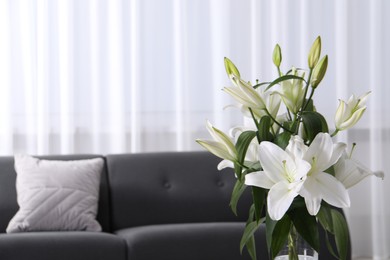 Beautiful lily flowers near sofa in living room, space for text