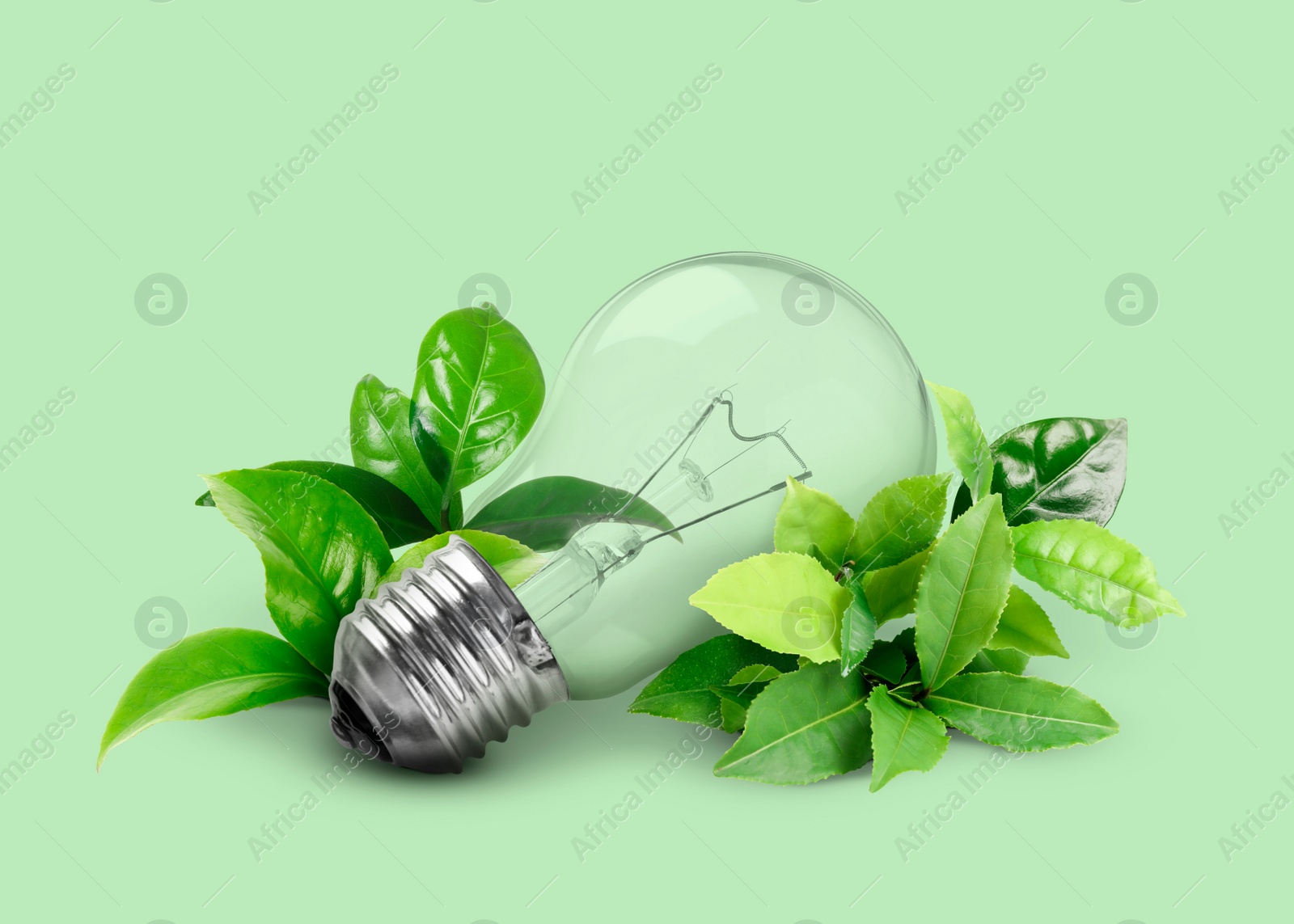 Image of Saving energy, eco-friendly lifestyle. Light bulb and fresh leaves on green background