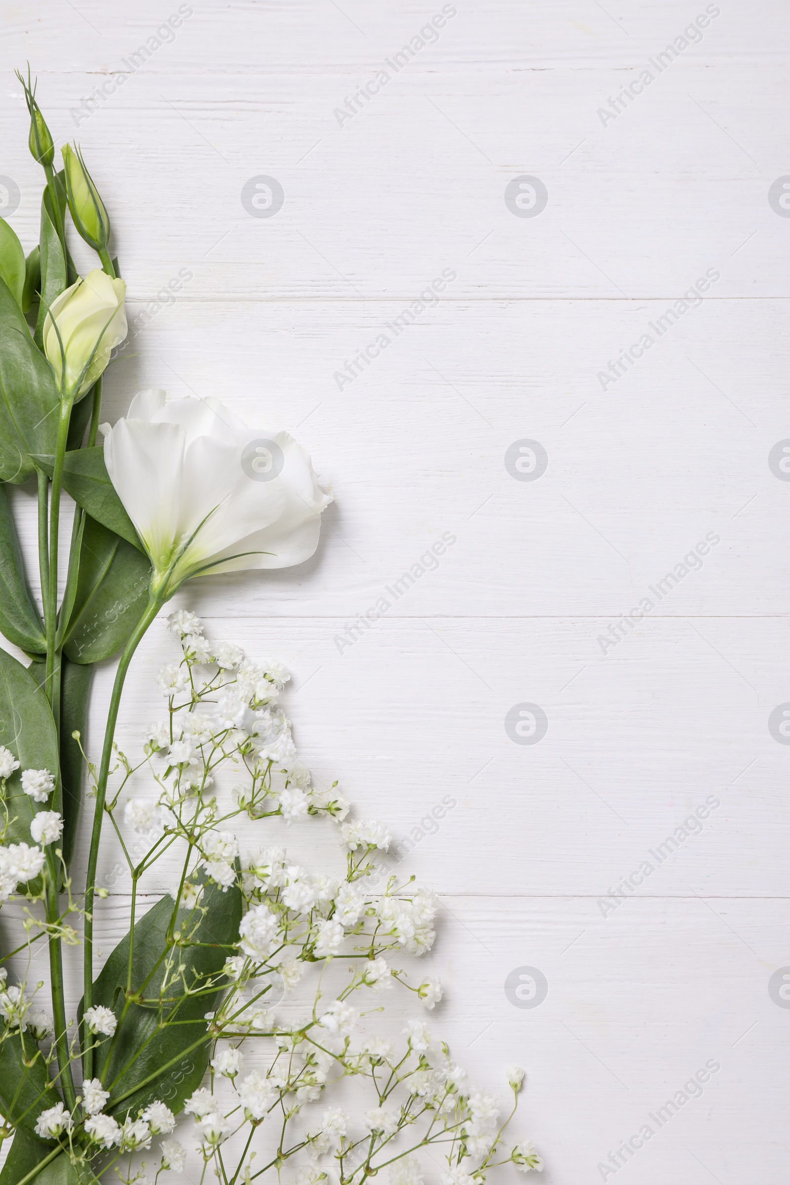 Photo of Beautiful flowers on white wooden background, flat lay. Space for text