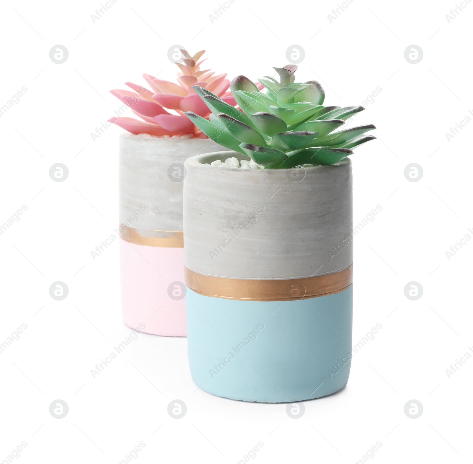 Photo of Beautiful artificial plants in flower pots isolated on white