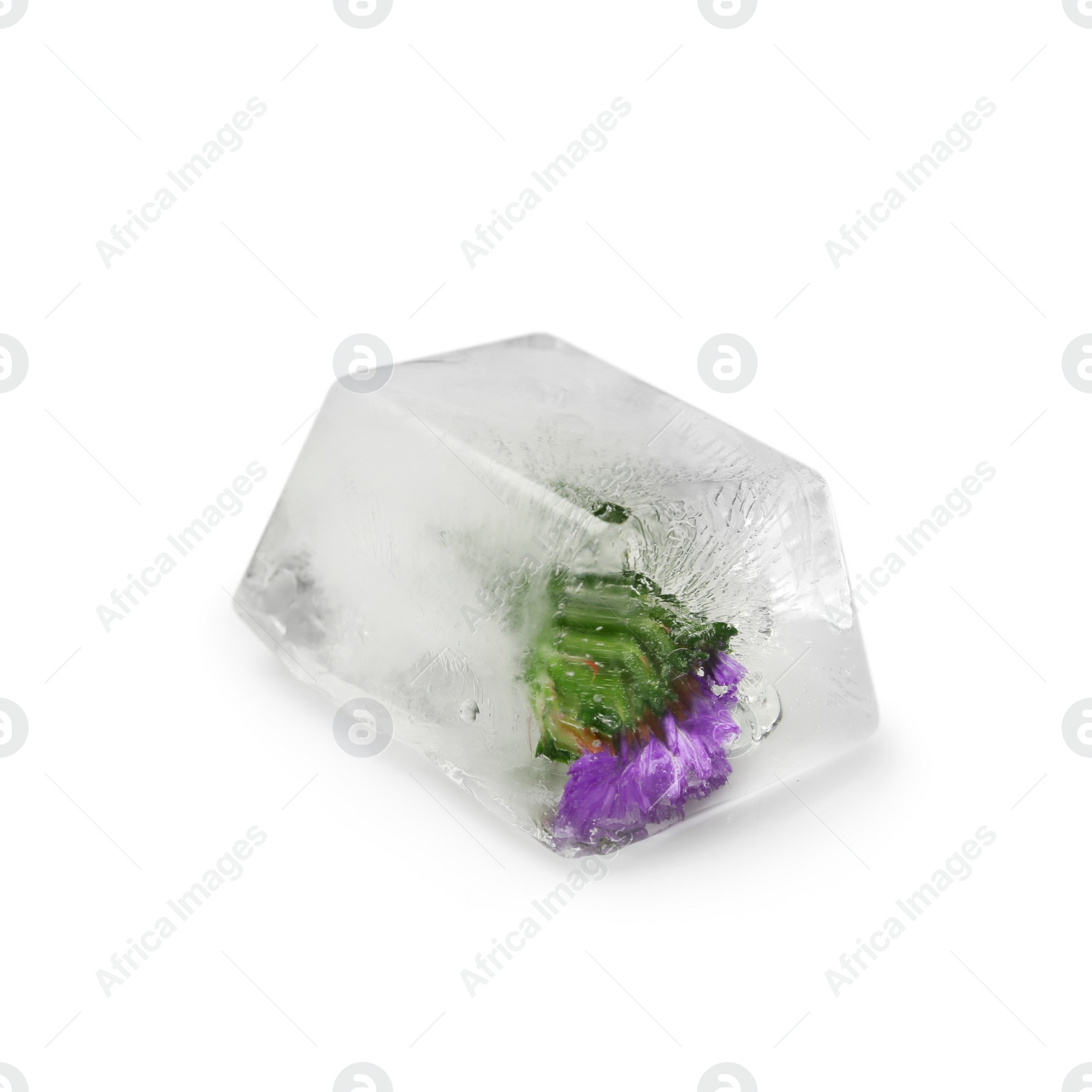 Photo of Ice cube with flower on white background