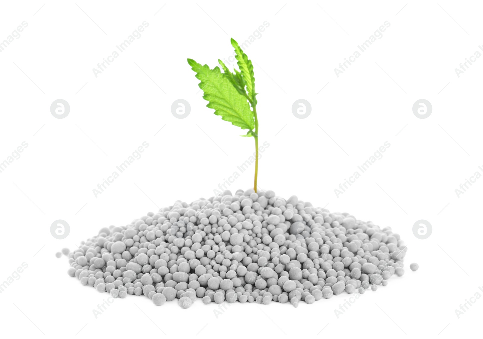 Photo of Pile of chemical fertilizer and green plant isolated on white. Gardening time