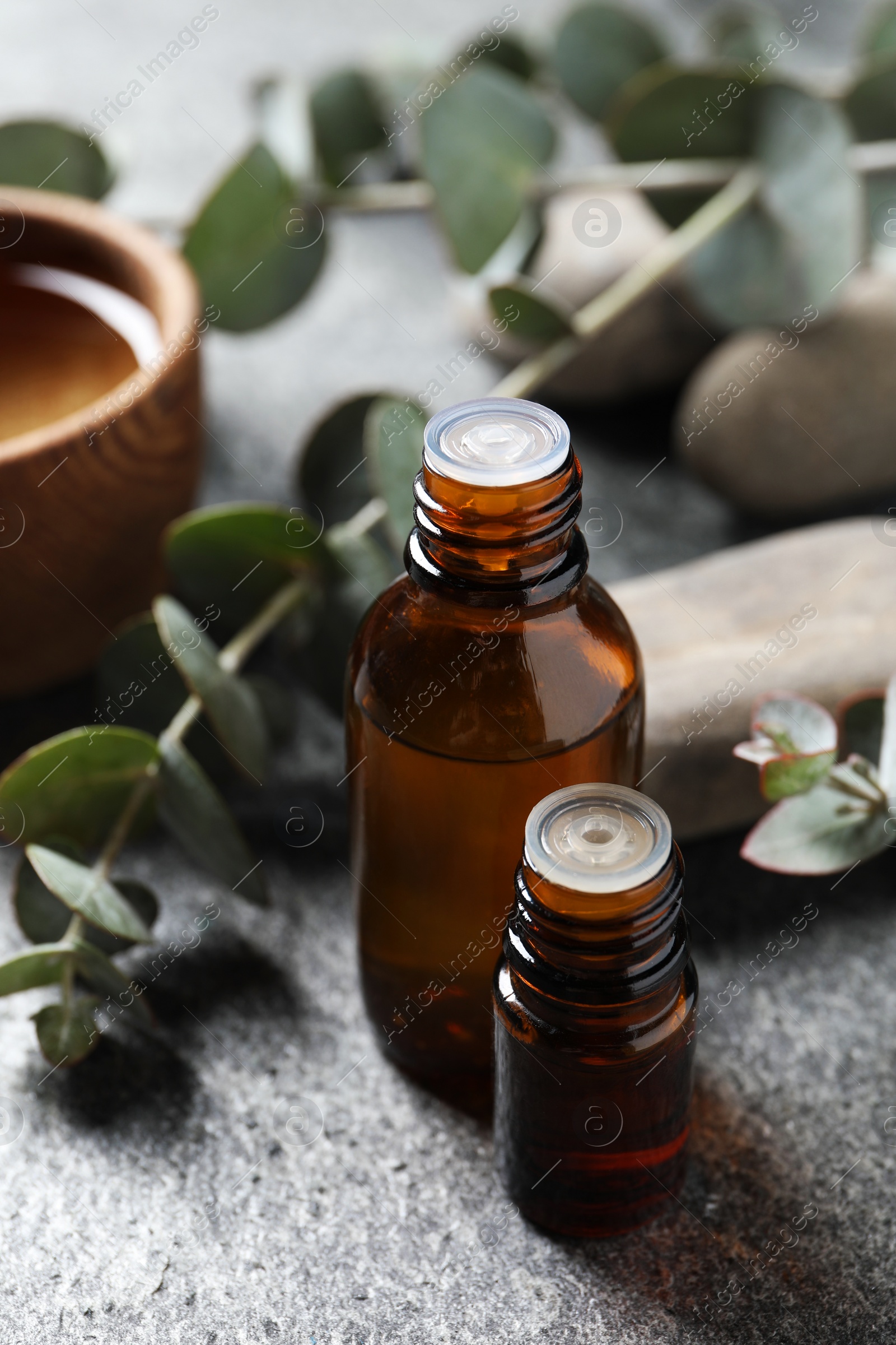 Photo of Bottles of eucalyptus essential oil and plant branches on light grey table