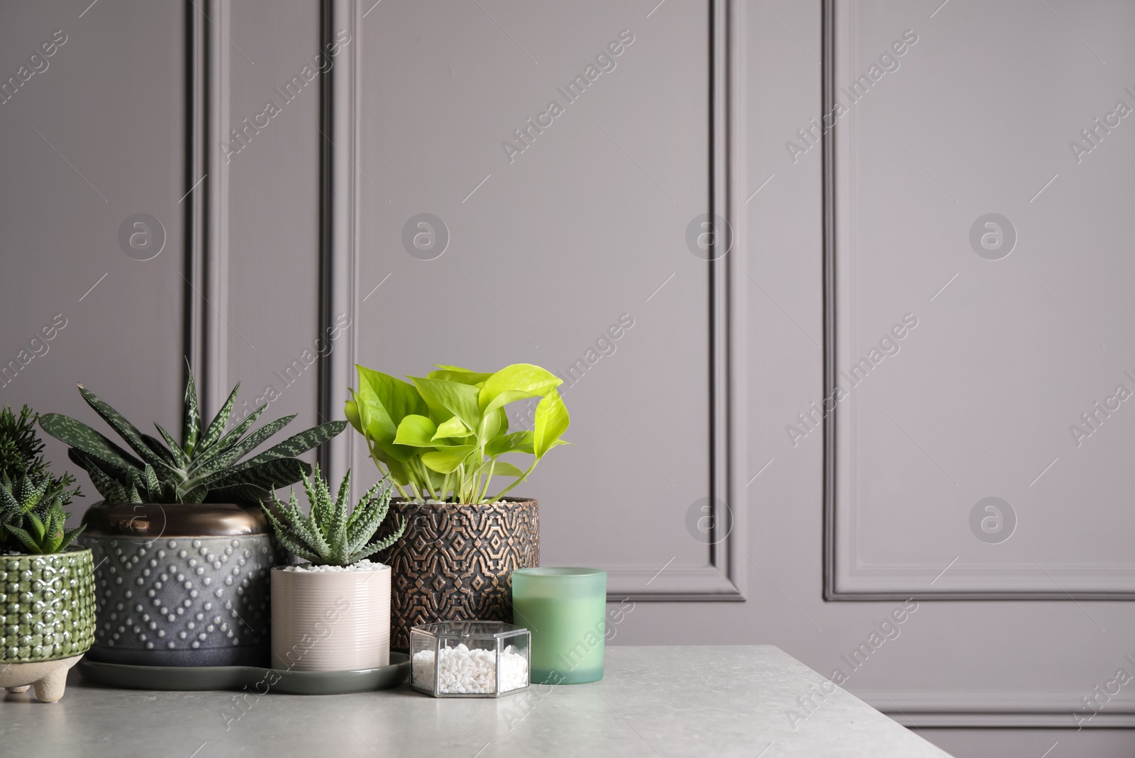 Photo of Different house plants in pots with decor on light table. Space for text
