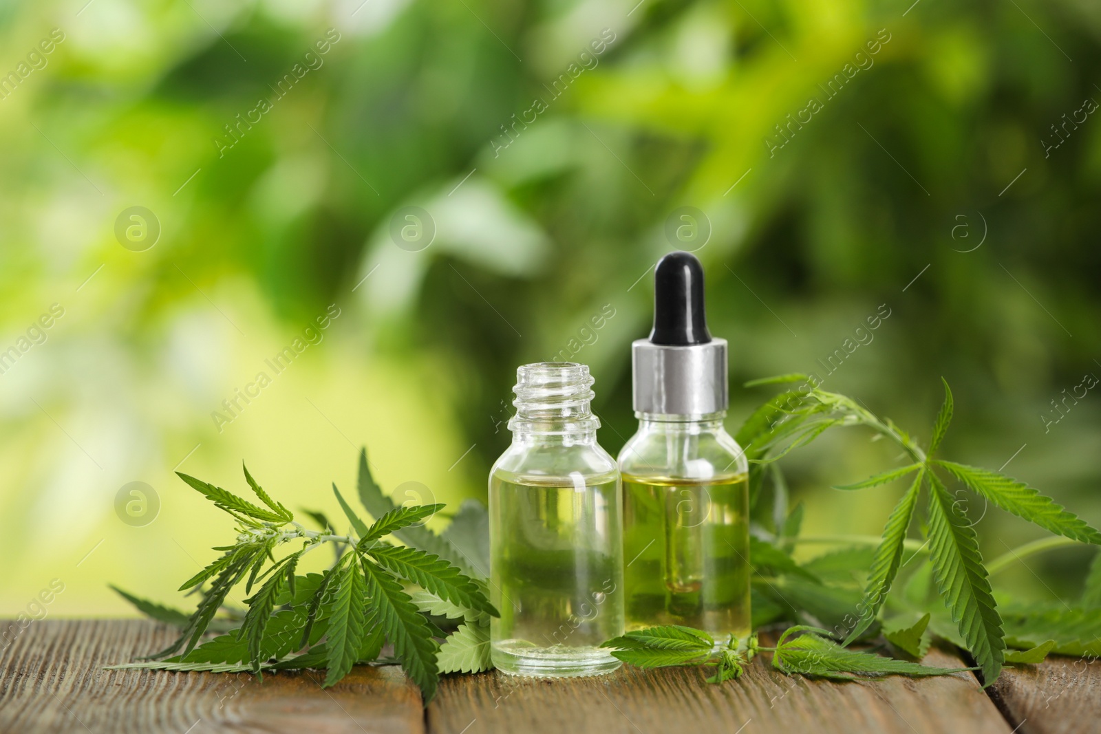 Photo of Hemp leaves, bottles of CBD oil and THC tincture on wooden table
