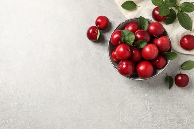 Photo of Delicious ripe cherry plums with leaves on light table, flat lay. Space for text