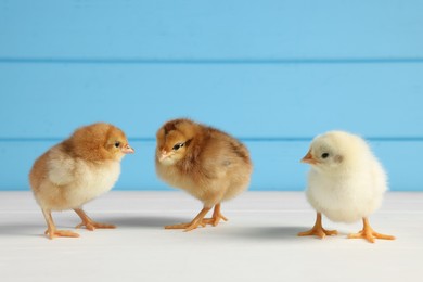 Photo of Many cute chicks on white wooden table, closeup with space for text. Baby animals