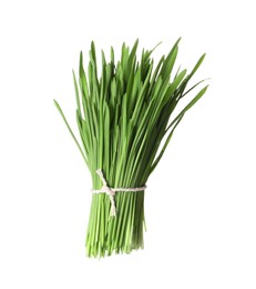 Bunch of fresh wheat grass sprouts isolated on white