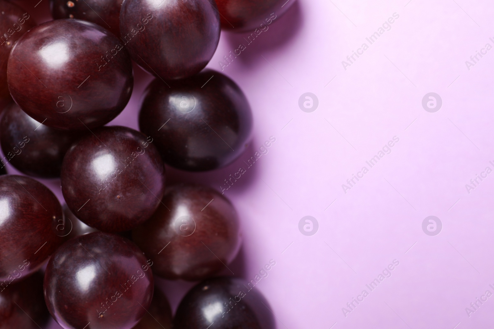 Photo of Fresh ripe juicy grapes on pink background, flat lay. Space for text