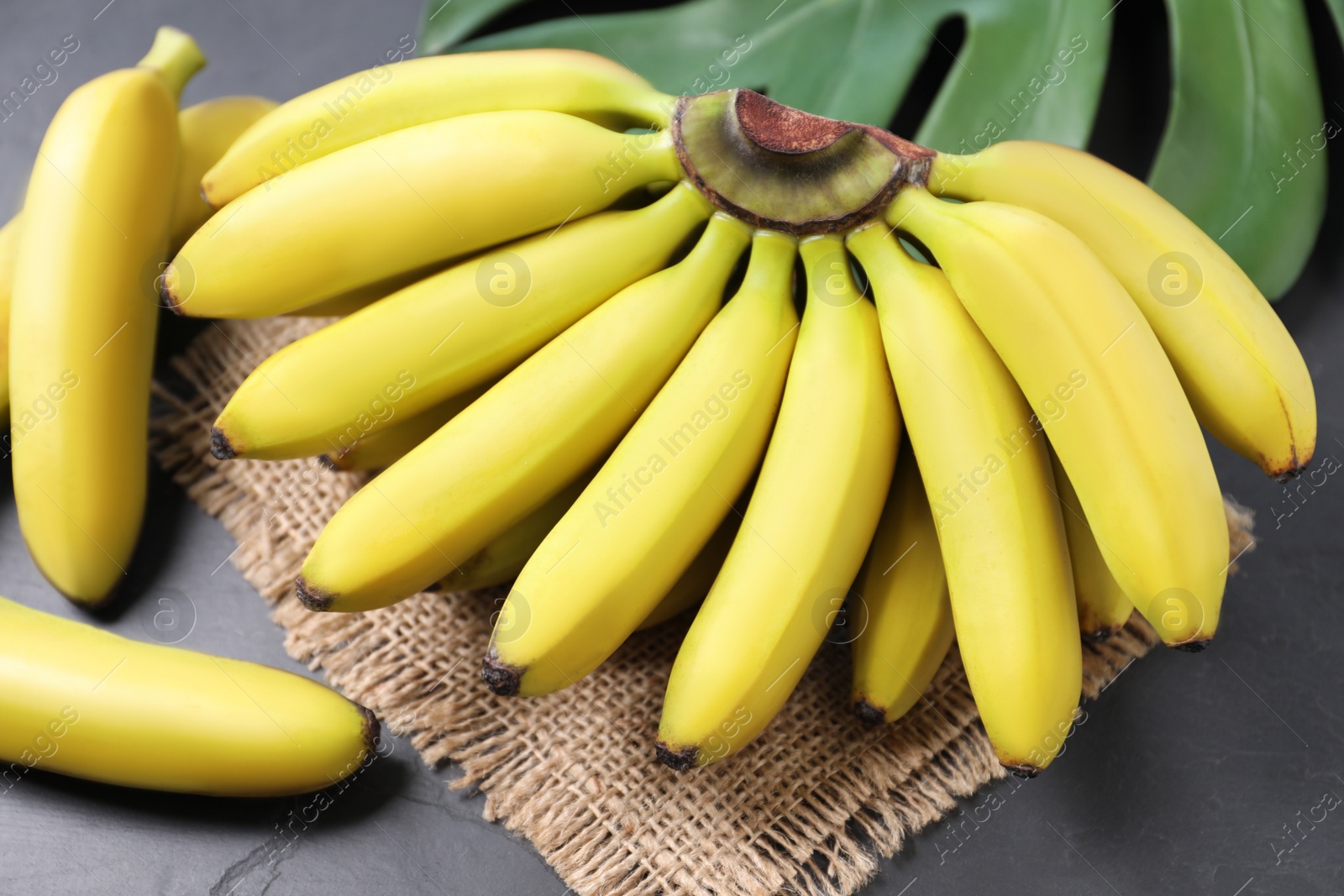 Photo of Tasty ripe baby bananas on dark table