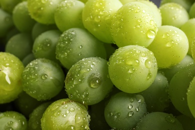 Bunch of green fresh ripe juicy grapes as background. Closeup view