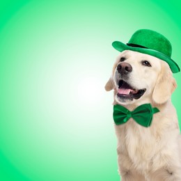 St. Patrick's day celebration. Cute Golden Retriever dog with leprechaun hat and bow tie on green background. Space for text