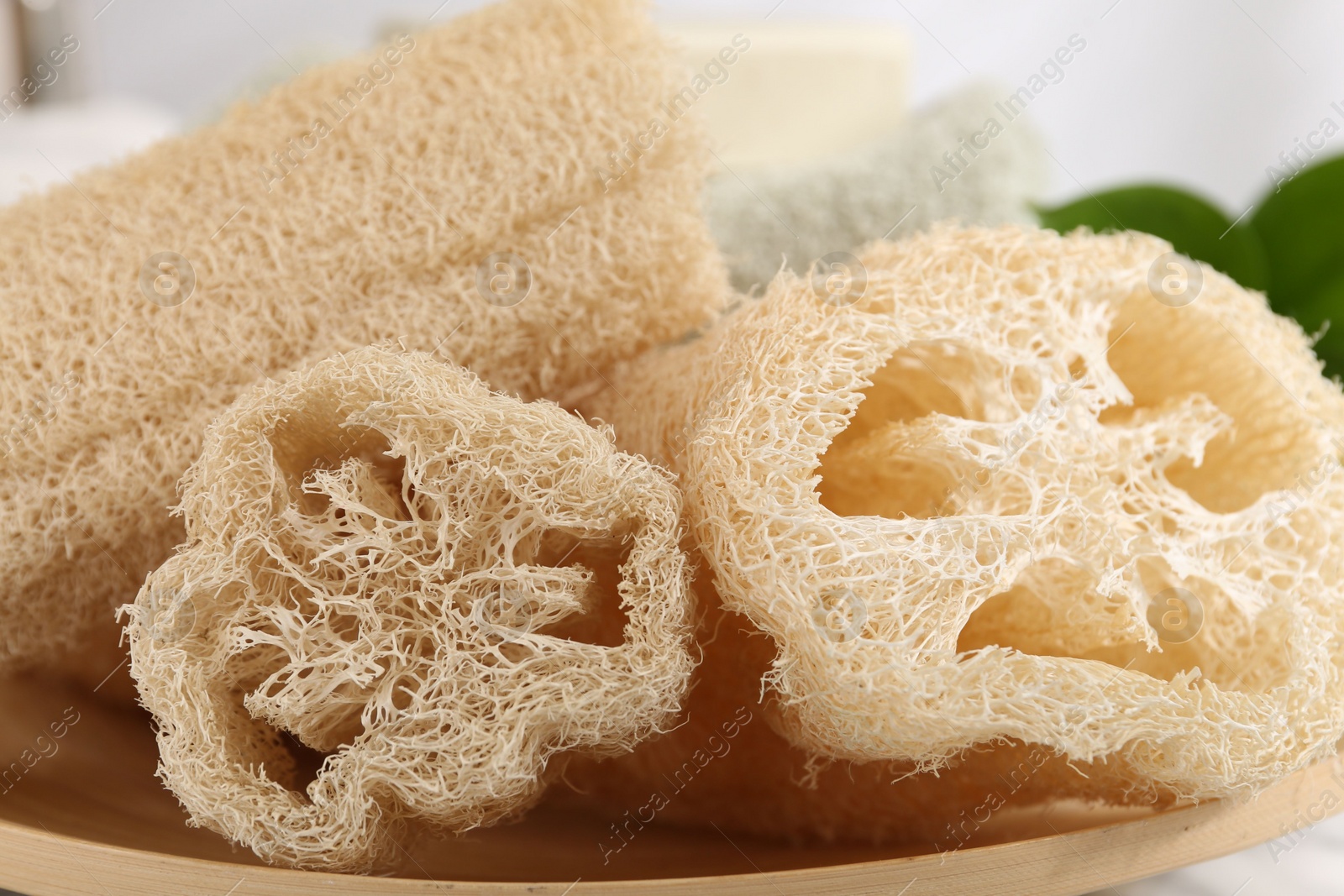 Photo of Natural loofah sponges on table, closeup view