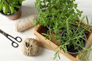 Different aromatic potted herbs, treads, and scissors on white wooden table, flat lay