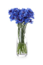 Photo of Beautiful bouquet of cornflowers in vase isolated on white