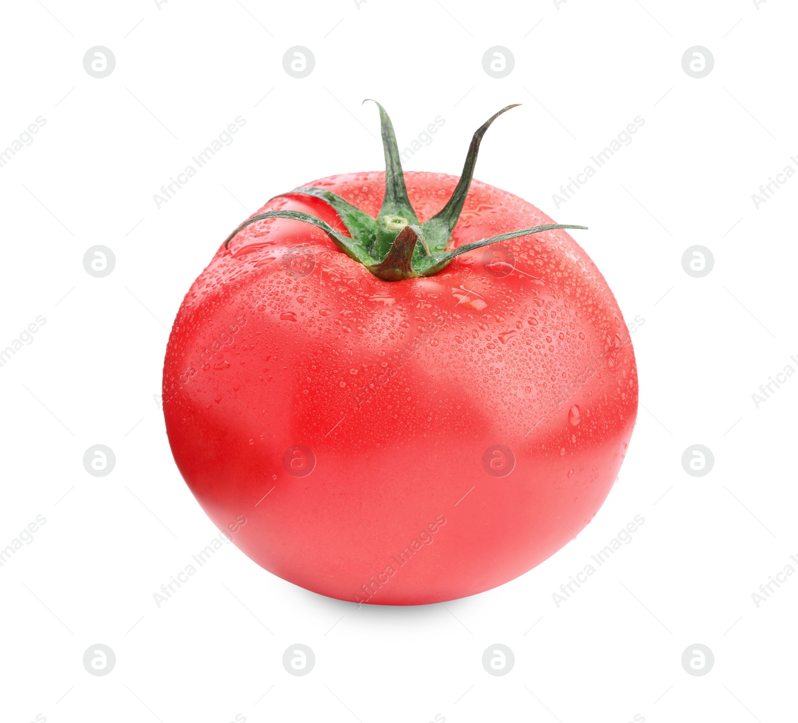 Photo of One red ripe tomato with water drops isolated on white