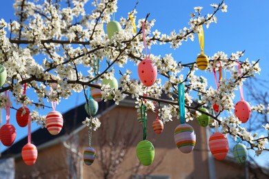 Beautifully painted Easter eggs hanging on blooming cherry tree outdoors