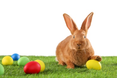 Photo of Cute bunny and Easter eggs on green grass against white background