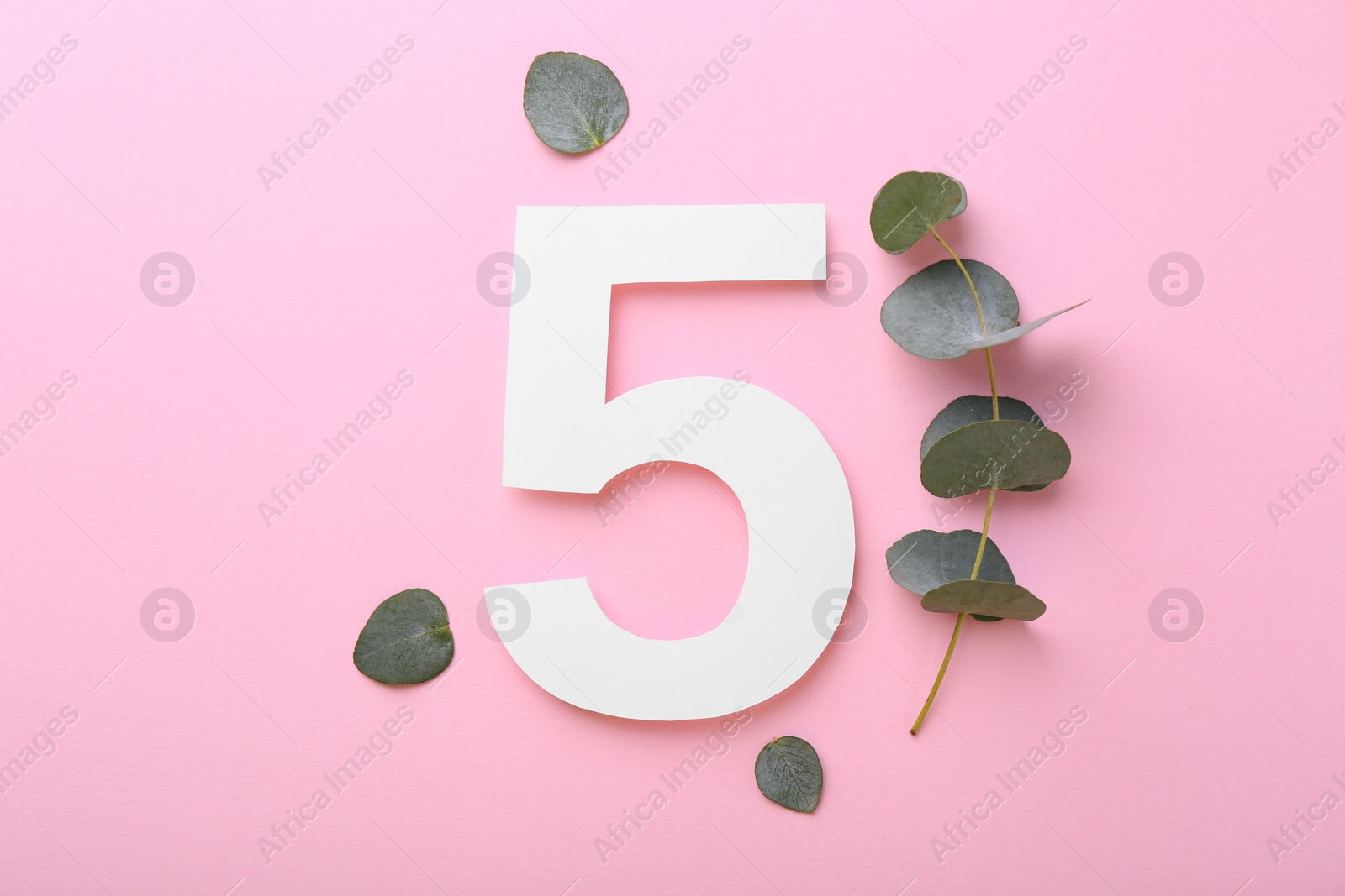 Photo of Paper number 5 and eucalyptus leaves on pink background, flat lay