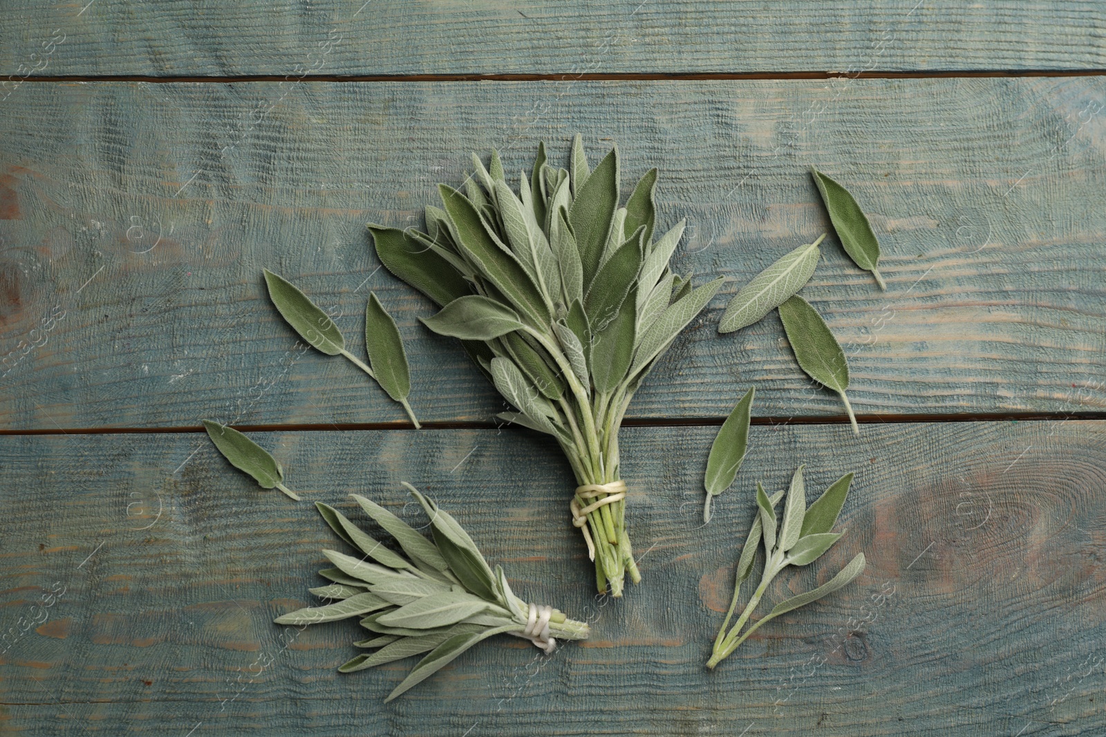 Photo of Fresh green sage on light blue wooden table, flat lay