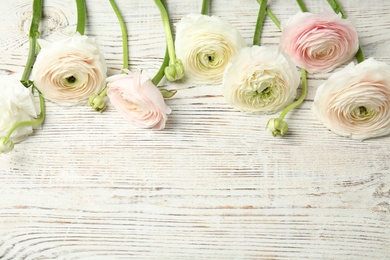 Beautiful ranunculus flowers and space for text on wooden background